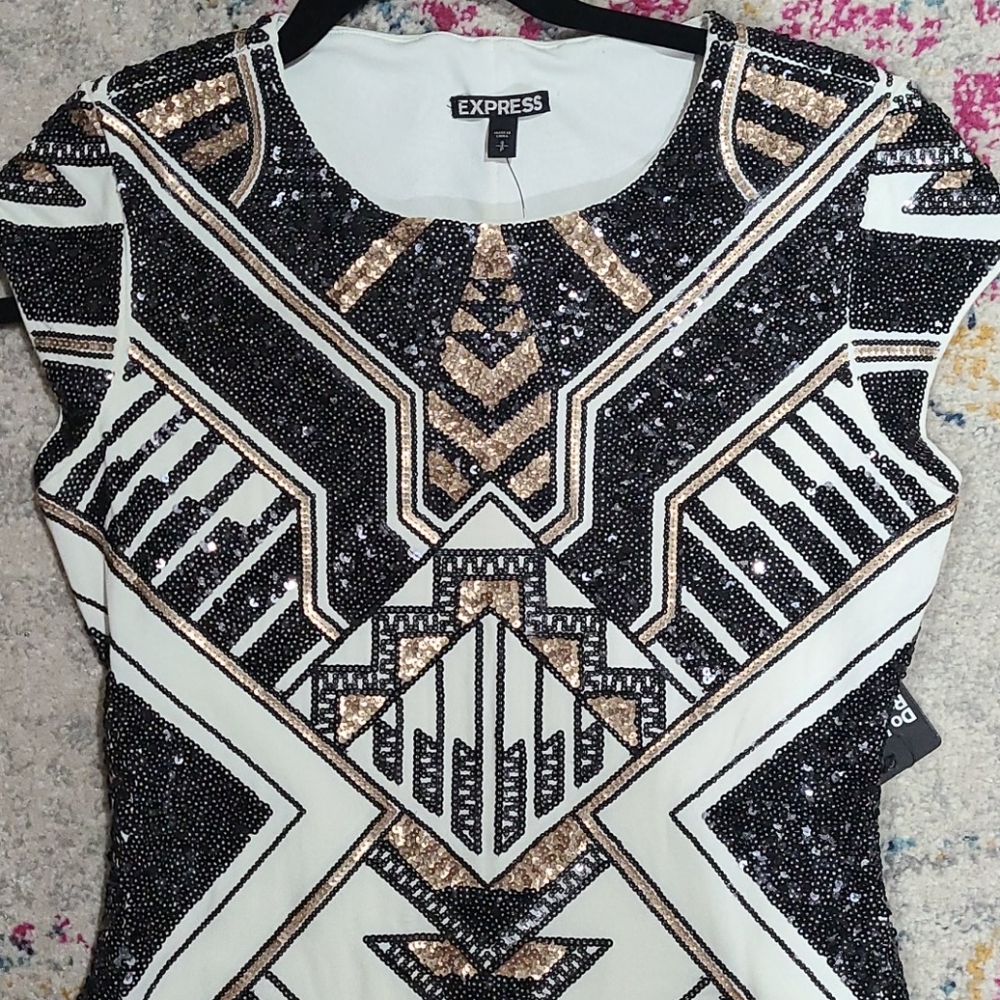 Express Dress - Picture 2 of 5